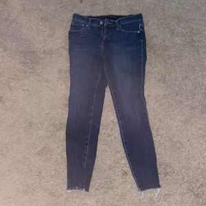 Banana Republic Petite 25 Jeans